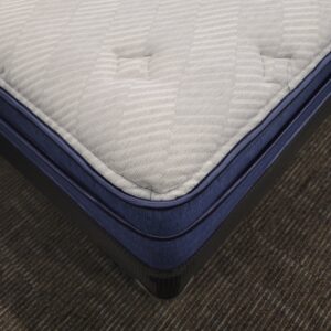 Serta Perfect Sleeper Classic Plush Pillow Top Queen Mattress