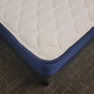 Restokraft Extra Firm Twin Mattress